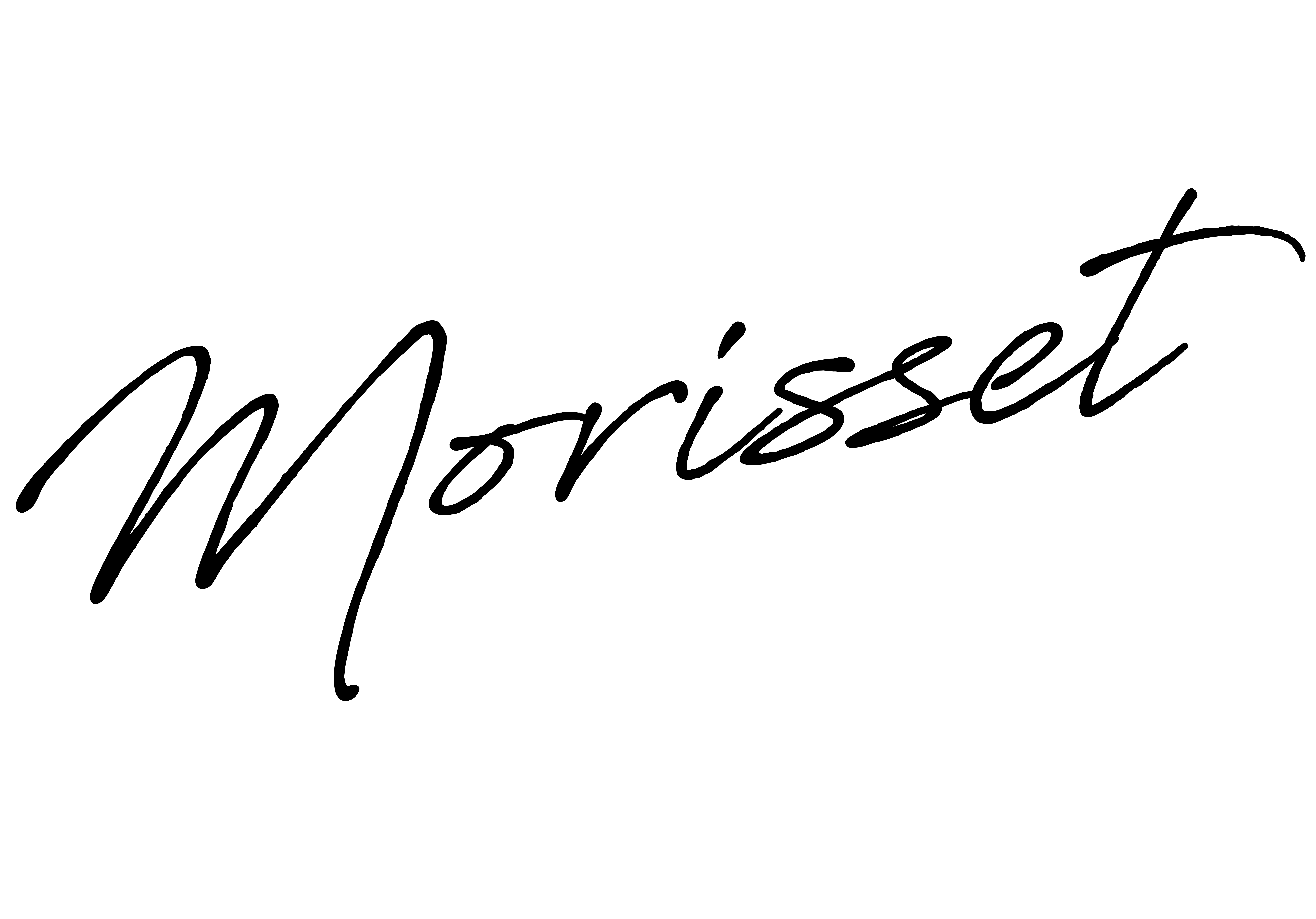 Home - partenaire-Morisset-noir-bold-min